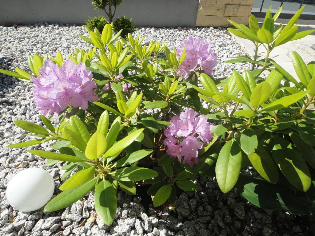 Gaestehaus Am Sonnenberg Baunach Ngoại thất bức ảnh
